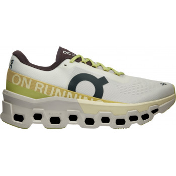 On Running road Cloudmonster 2 Man
