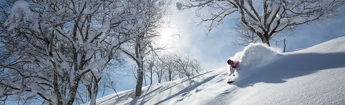 Noleggio Attrezzatura Telemark, Sci Alpinismo e Free Ride